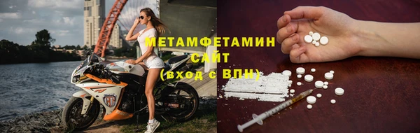 трава Карпинск