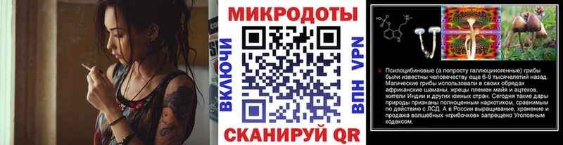 Купить закладки  Ирбит  Галлюциногенные грибы Cubensis 
